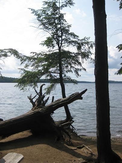 Murphys Point (39)