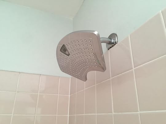 The shower head installed with no running water.
