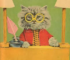 writer-cat