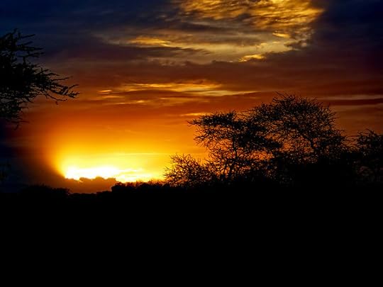 Sunrise, Serengeti. From 10 of the Best Experiences on a Safari in Africa