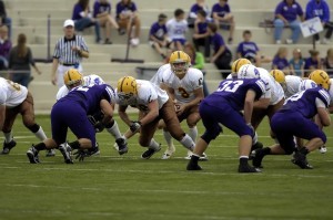 Photo Credit: Steve Lester