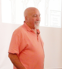 Stuart Hameroff at Foundations of Mind 2
