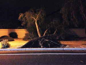 11947679_10207956751945606_1760895716062289723_n