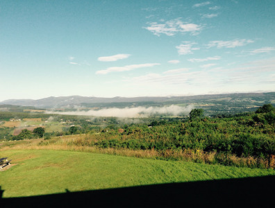 The view from my window.