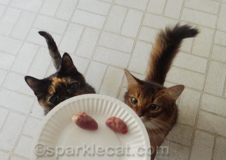 This was before Binga realized she did not like them