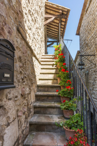 Scalinata con vasi di fiori