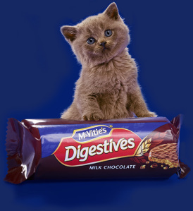 digestives_chocolate_top_image