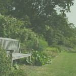 Jane Austen, Darcy, Pride and Prejudice, Liz Bennet, slow love, mate value