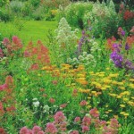 women's struggles, Jane Austen, strong women, single mother, glass ceiling, women in workplace, Regency era