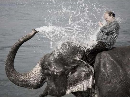  photo laughing-elephant-sprays-man-riding_zpswl7w9ev1.jpg
