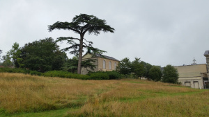 View across the new wildflower meadow to the chapel at Compton Verney
