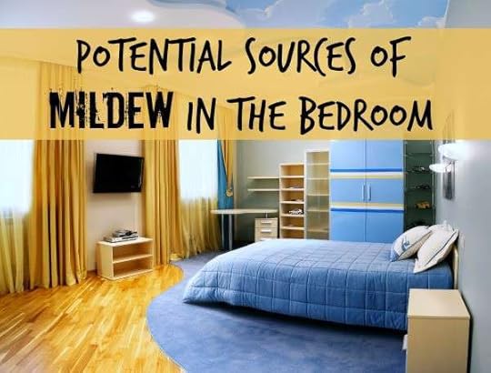 mildew in bedroom