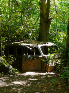 In the middle of the Snowbird Backcountry far, far away from any road—I kid you not. Moonshiners?