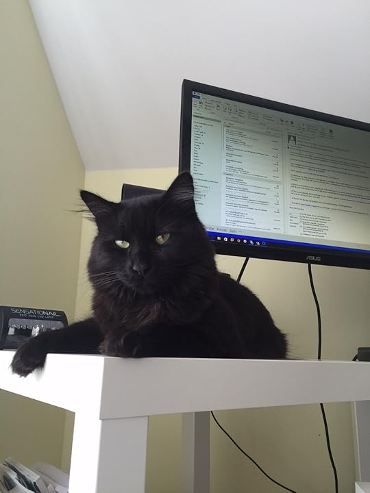 Hemingway enjoying his new desktop digs.