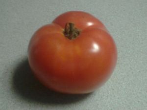 tomato