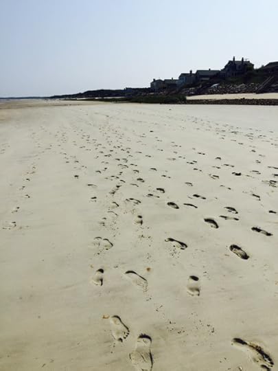 Tina Ann Forkner Cape Cod