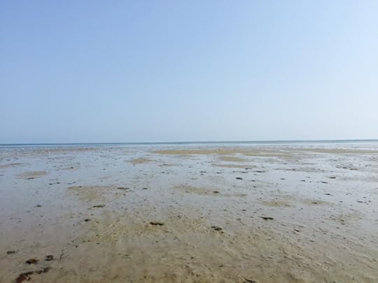 Tina Ann Forkner Cape Cod