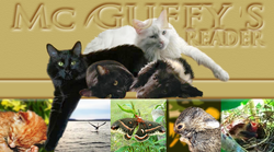 Mcguffy'sReaderHeader