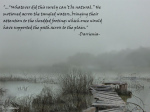 The Quaking bog - Darrienia