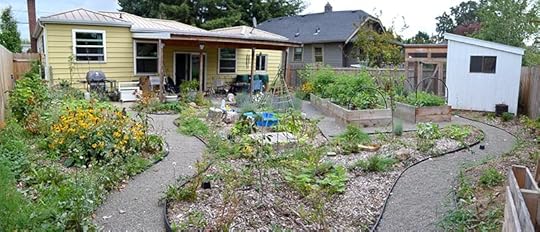 September-backyard