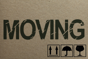 Cardboard texture with moving theme