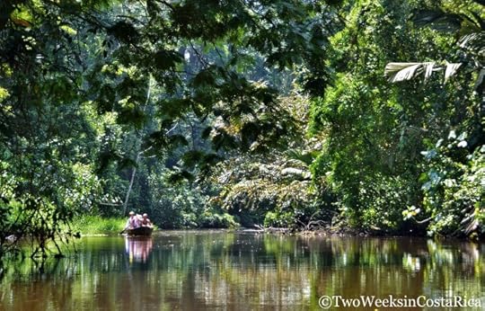 Canal Tour - Tips for Visiting Tortuguero National Park
