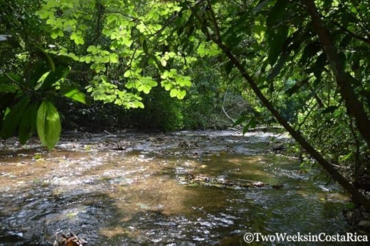 The Quebrada Bonita inside Carara National Park | Two Weeks in Costa Rica