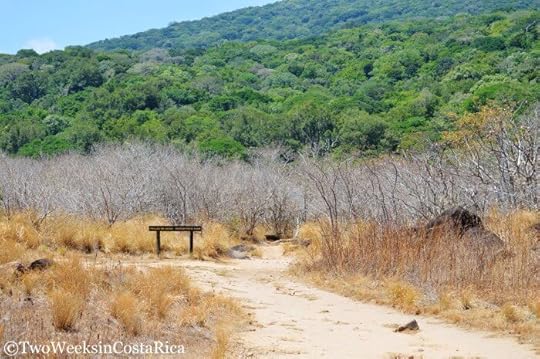Rainforest meets the dry plains at Rincon de la Vieja | Two Weeks in Costa Rica