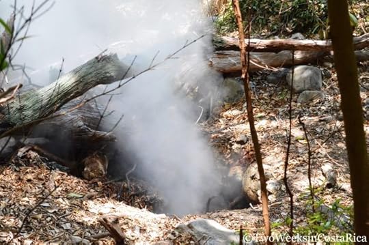 Steam vent or fumarole at Rincon de la Vieja