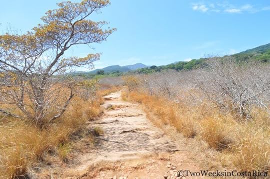 A very dry trail at Rincon de la Vieja | Two Weeks in Costa Rica