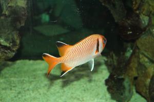 11203599_828976910471162_1373071923828541244_o