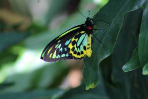 11742882_860549110647275_3626181901977858814_n