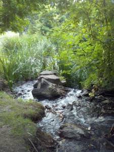 11846385_856956674381383_1237694428_n