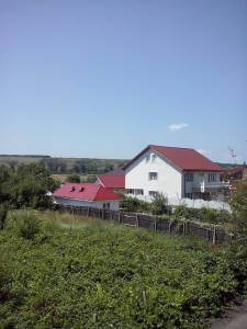 11923064_869455023131548_538537154_n