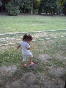 11924849_869449639798753_1868545877_n