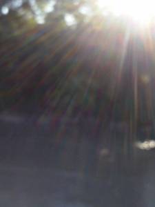 11798423_856957437714640_1069052896_n