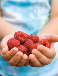 Photo: How to wash fruits and vegetables