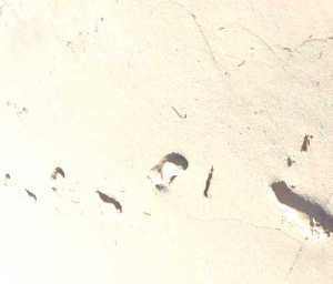 footprints