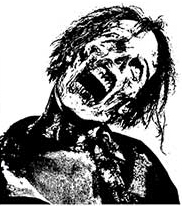 FINAL_TWD_MSG_al