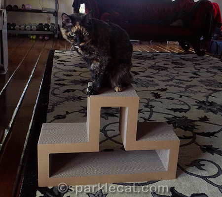 What happened to my Top Cat status?