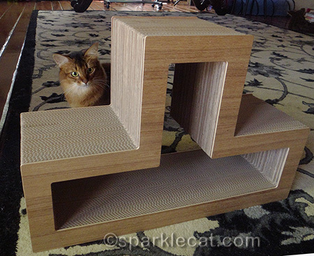 It always amazes me when my human does something right.