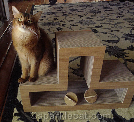 Now excuse me while I step up to become Top Cat again!