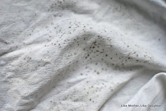 How to remove mildew spots at last-003