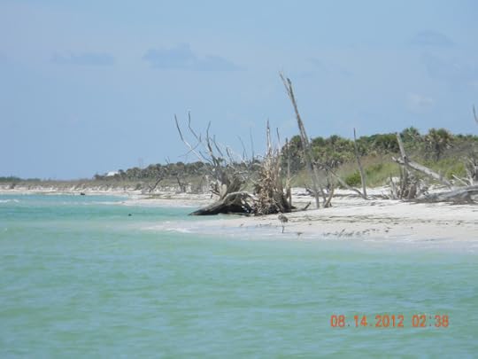 The location used as the model for 