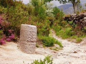 800px-Geira_Milha_XXIX_caminho