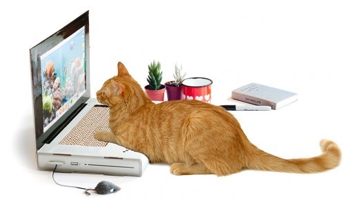 cat-scratch-laptop-toy
