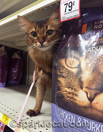 This bag of food weighs more than me!
