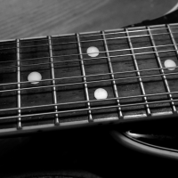 mandolin bw