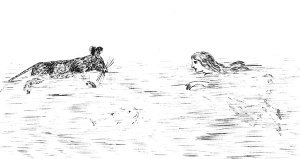 Lewis Carroll's sketch. 