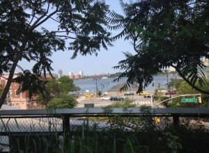 The Highline. Här svalkade det och var fint. Det är ett promenad-stråk, ovan alla andra, en gammal järnväg, tror jag, och som en park, med träd, blommor, fik och lite lokala konstnärer.